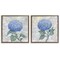 Stupell Industries Blue Hydrangea Garden Blooms 2pc Floating Frame Set By Paul Brent